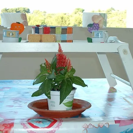 Bed & Breakfast Alice Sassari